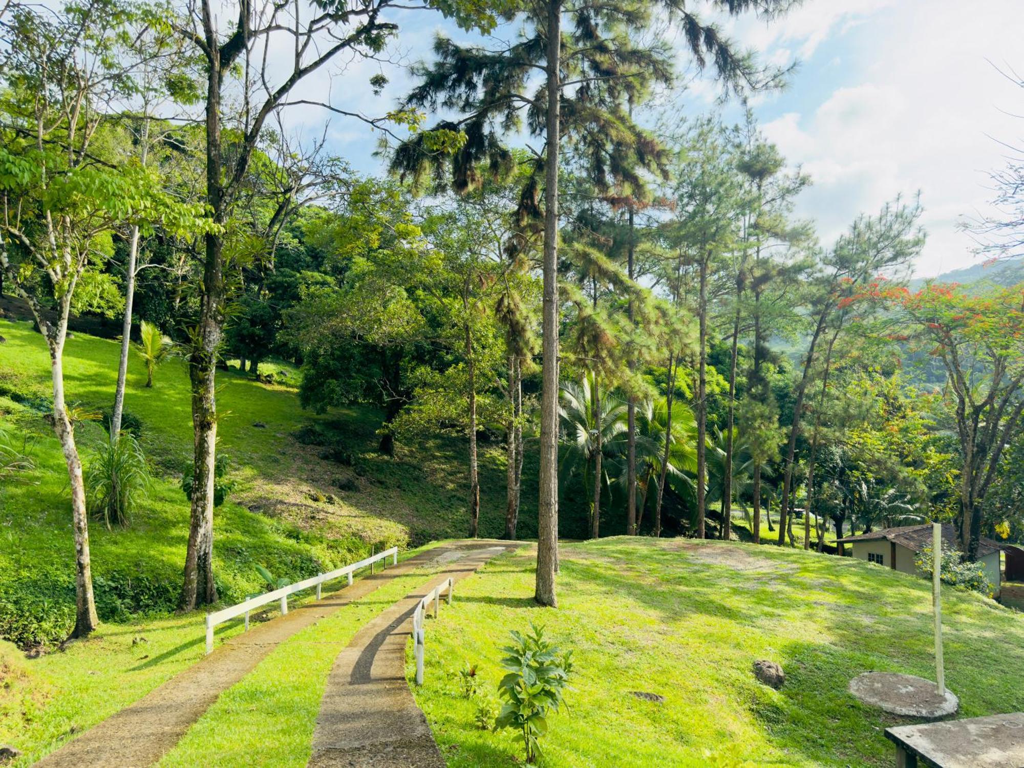 Ranchos De Chalia Panama Hotel Portobelo Bagian luar foto
